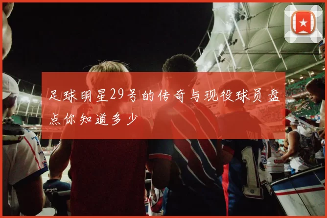 足球明星29号的传奇与现役球员盘点你知道多少
