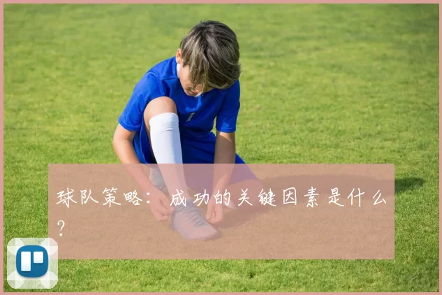 球队策略：成功的关键因素是什么？
