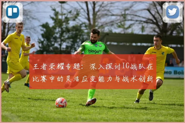 王者荣耀专题：深入探讨IG战队在比赛中的灵活应变能力与战术创新