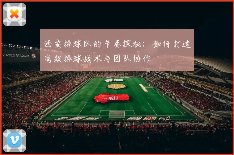 西安排球队的节奏探秘：如何打造高效排球战术与团队协作