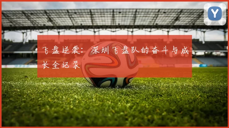飞盘逆袭：深圳飞盘队的奋斗与成长全记录