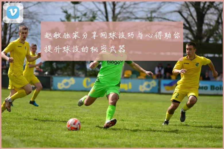 赵敏独家分享网球技巧与心得助你提升球技的秘密武器