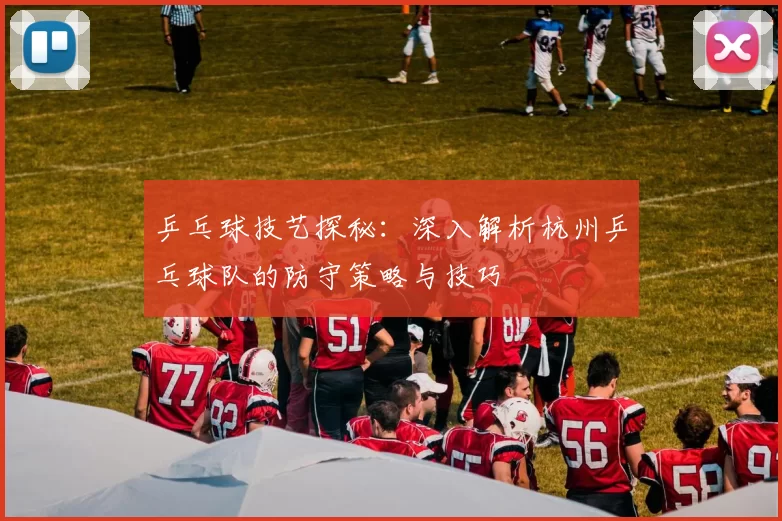 乒乓球技艺探秘：深入解析杭州乒乓球队的防守策略与技巧