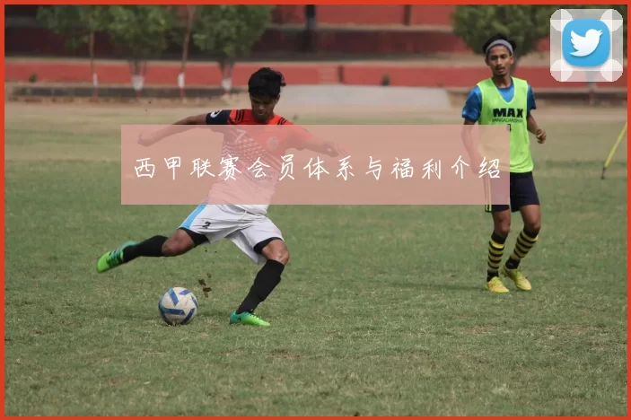 西甲联赛会员体系与福利介绍