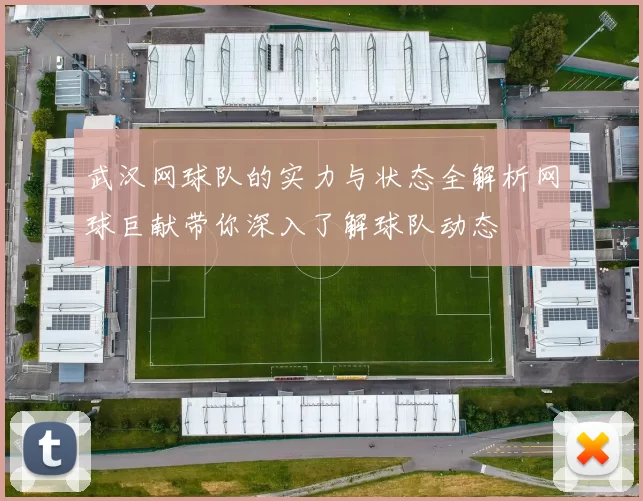 武汉网球队的实力与状态全解析网球巨献带你深入了解球队动态