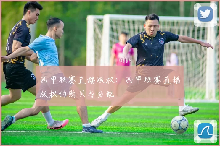 西甲联赛直播版权：西甲联赛直播版权的购买与分配