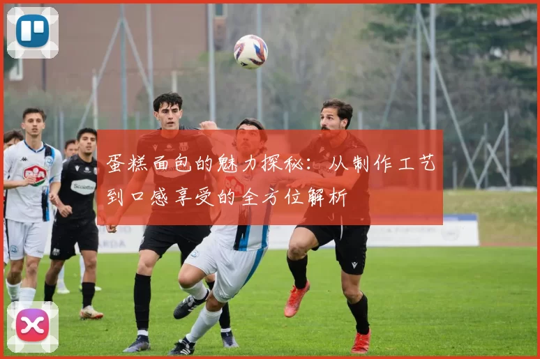 蛋糕面包的魅力探秘：从制作工艺到口感享受的全方位解析