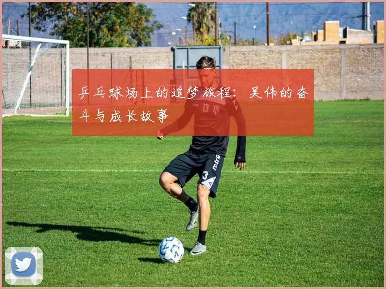 乒乓球场上的追梦旅程：吴伟的奋斗与成长故事