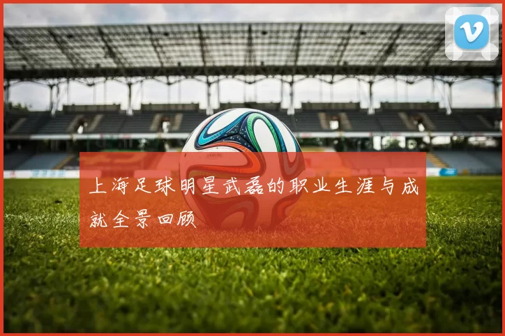 上海足球明星武磊的职业生涯与成就全景回顾