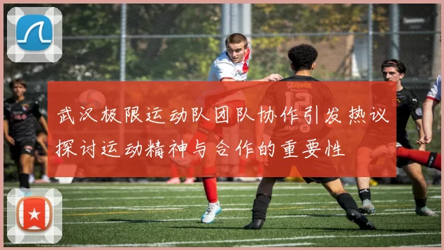 武汉极限运动队团队协作引发热议探讨运动精神与合作的重要性