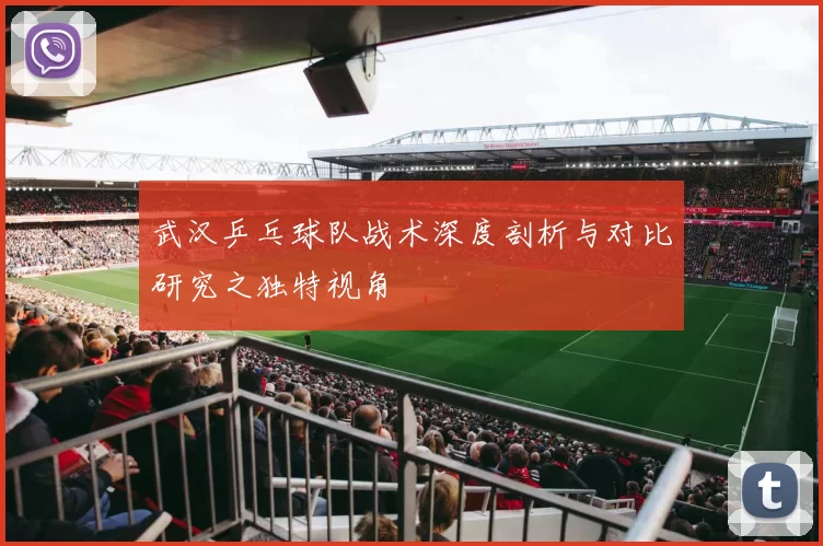 武汉乒乓球队战术深度剖析与对比研究之独特视角