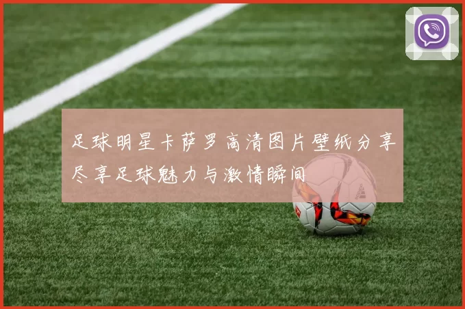 足球明星卡萨罗高清图片壁纸分享尽享足球魅力与激情瞬间