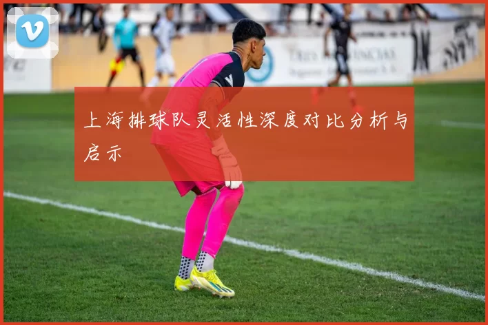 上海排球队灵活性深度对比分析与启示