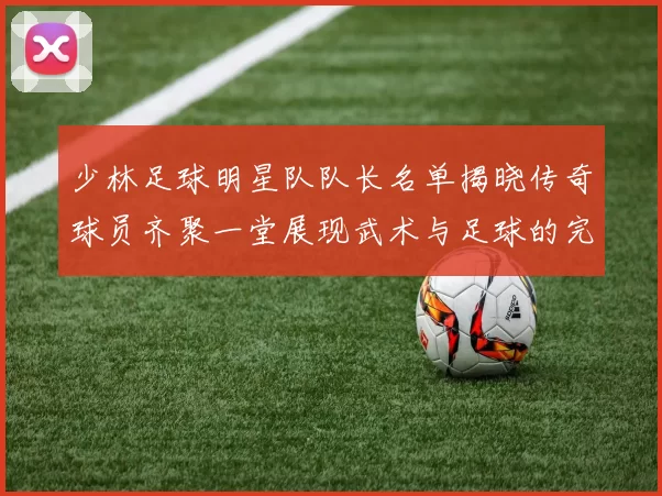 少林足球明星队队长名单揭晓传奇球员齐聚一堂展现武术与足球的完美结合