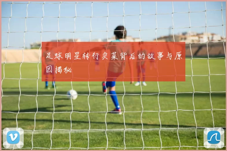足球明星转行卖菜背后的故事与原因揭秘