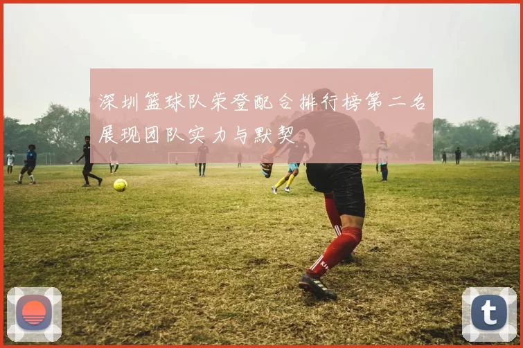 深圳篮球队荣登配合排行榜第二名展现团队实力与默契