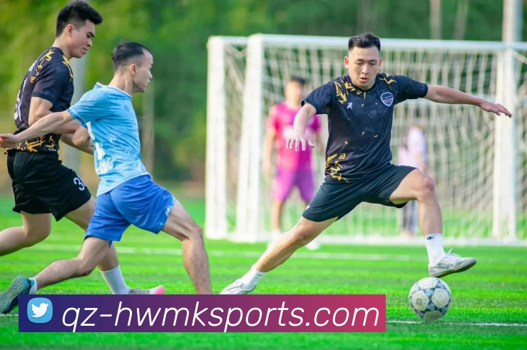 mk体育平台生态图