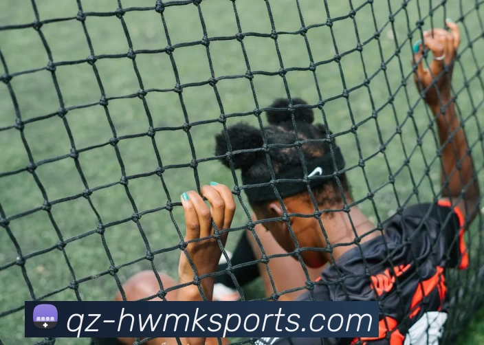 mk体育APP 封面图